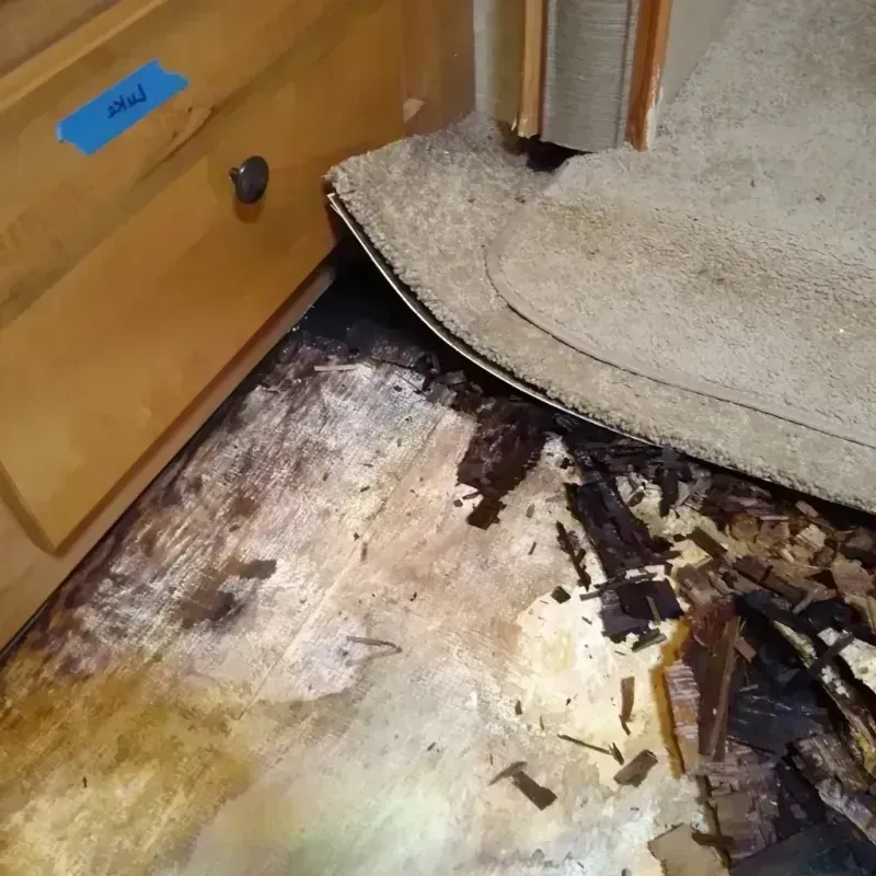 Best Wood Floor Water Damage Service in Alamo Heights, TX